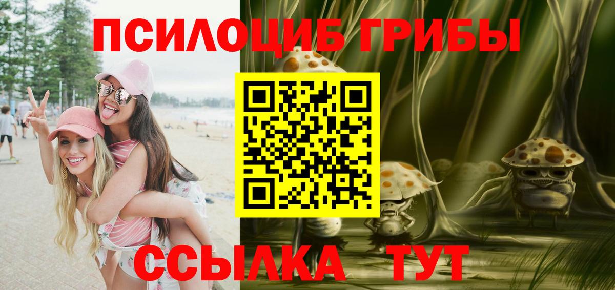 Галлюциногенные грибы MAGIC MUSHROOMS  купить наркотики цена  Вход с VPN  Саяногорск  Псилоцибиновые грибы мухоморы 